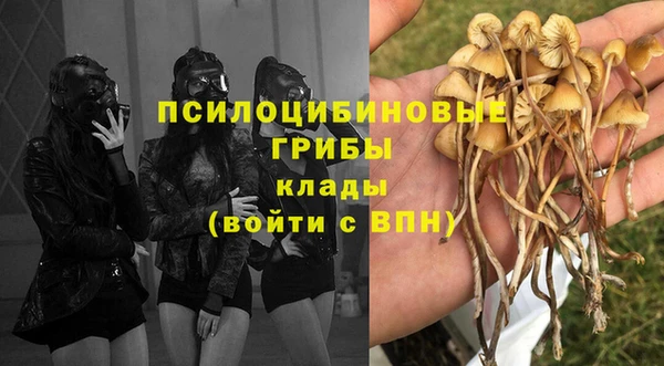 бошки Алексеевка