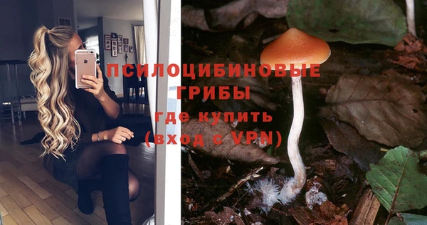 бошки Алексеевка